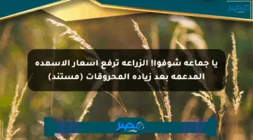 يا جماعة شوفوا! الزراعة ترفع أسعار الأسمدة المدعمة بعد زيادة المحروقات (مستند)